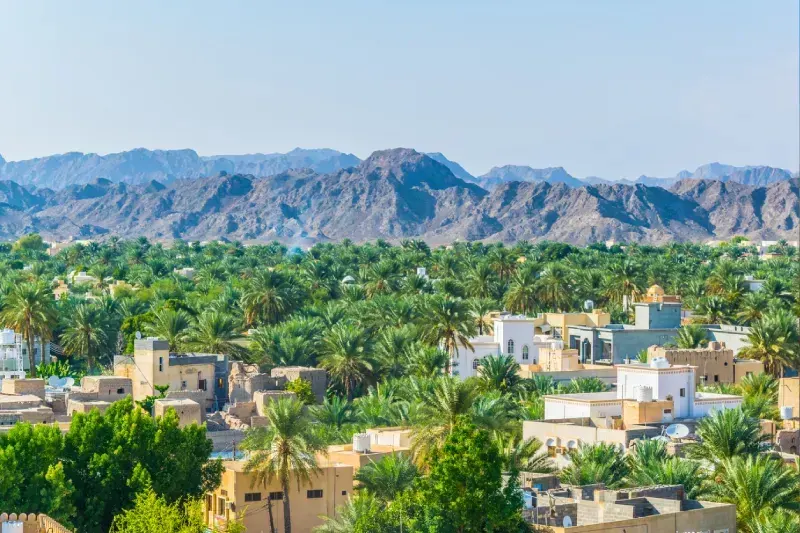 Birkat Al Mouz: Il Tesoro Nascosto dell'Oman Che Devi Assolutamente Vedere